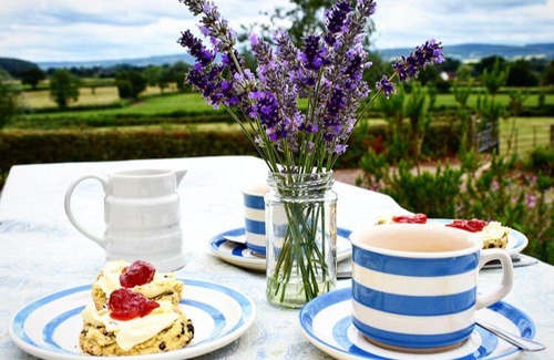 Chittlehampton Bed & Breakfast | Pet-Friendly Retreat at Higher Biddacott Farm - 10/10 Rated