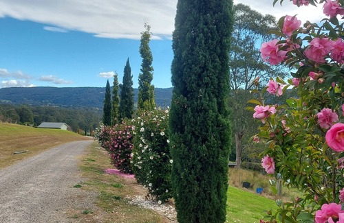 Kurrajong House | Exceptional Highfields Country Cottages with Ocean View