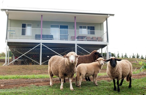 Kurrajong House | Highfields Country Cottage: Family-Friendly Oasis with Pool