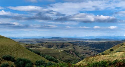 Okhahlamba Apartment | Discover Highlands Farm House: Pet and Child Friendly Retreat