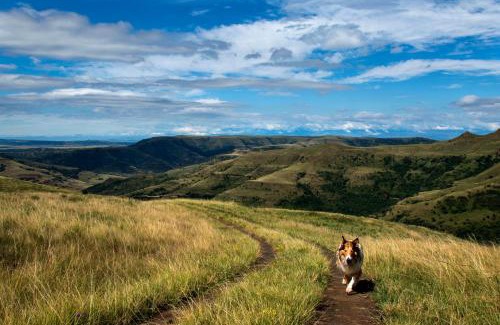 Okhahlamba Apartment | Discover Highlands Farm House: Pet and Child Friendly Retreat