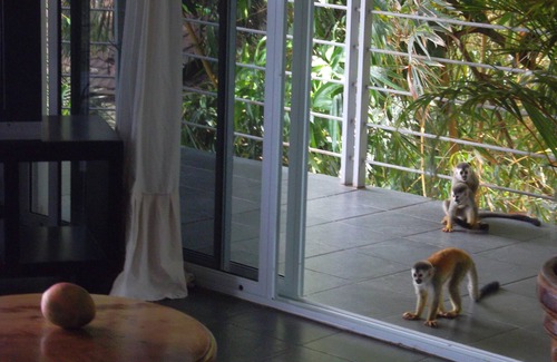 Quepos Condo | Relax at High-View Overlooking National Park & Bay