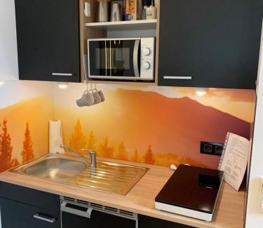 Hinterstoder Apartment | Central Studio Tiki 2 - Perfect for Family Getaways