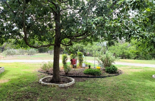 Spring Branch House | Relax and Renew at Hill Country Haute n Haus - 4 Star Stay