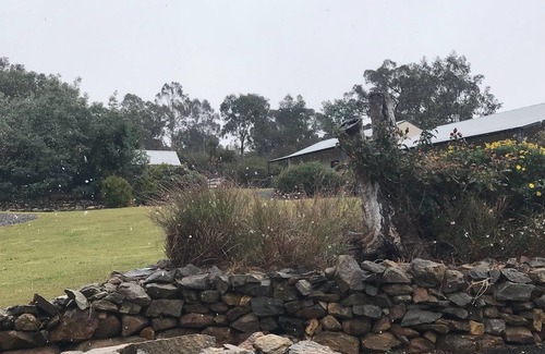 Hill End Hotel | Hill End Lodge: Guest Rated 9/10 with Family-Friendly Amenities