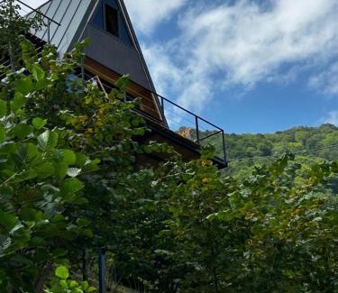 Adjara House | Idyllic HillSide Cottage: Guest Rated 9.9 & Child Friendly