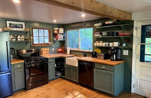 Downsville House | Pet-Friendly Hillside River Cabin with Spa & Breakfast