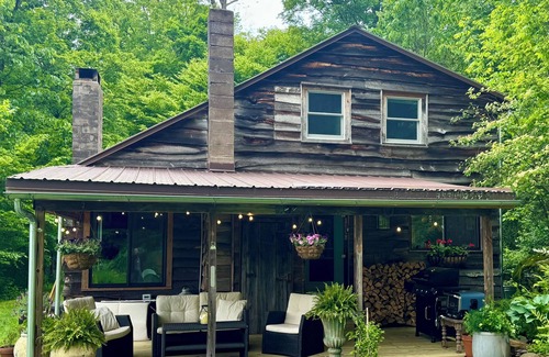Downsville House | Pet-Friendly Hillside River Cabin with Spa & Breakfast