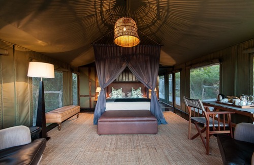 Sidbury Hotel | Unforgettable HillsNek Safari Camp at Amakhala Game Reserve