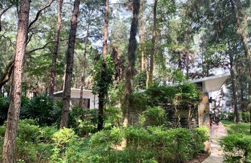 Thanh Xuan Apartment | Relaxing Retreat at Hilltop Flamingo Đại Lải Villa