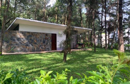 Thanh Xuan Apartment | Relaxing Retreat at Hilltop Flamingo Đại Lải Villa