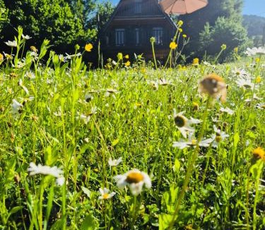 Glola Apartment | Hilltop Glola: Family and Pet-Friendly Retreat Awaits
