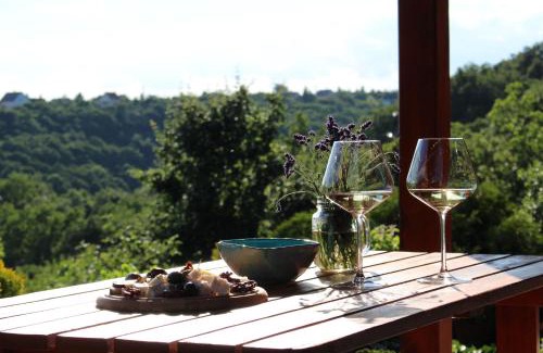 Szentendrei Apartment | Hilltop Hideout: 4-Star Retreat with Hot Tub & Breakfast