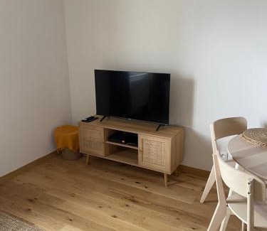 Saint-Laurent-sur-Saone Apartment | Kid-Friendly Hilo Apartment in Saint Laurent Sur Sane