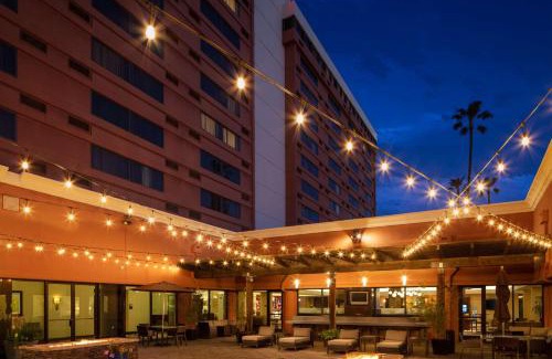 Concord Hotel | Pet-Friendly Hilton Concord with Pool & Restaurant Access
