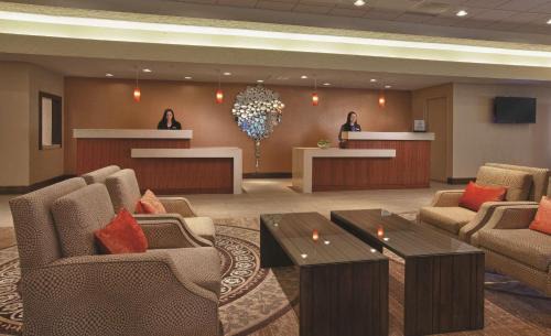 Concord Hotel | Pet-Friendly Hilton Concord with Pool & Restaurant Access