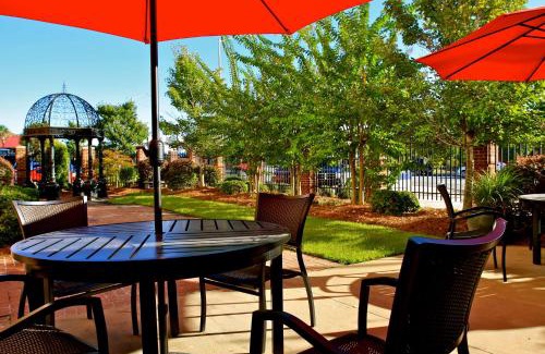 Albany Hotel | Pet-Friendly Getaway at Hilton Garden Inn Albany