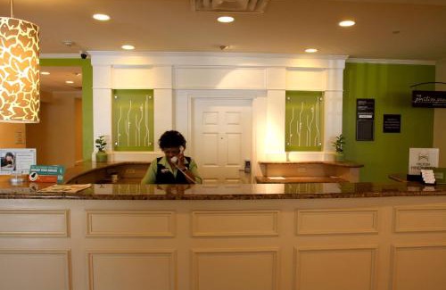 Albany Hotel | Pet-Friendly Getaway at Hilton Garden Inn Albany