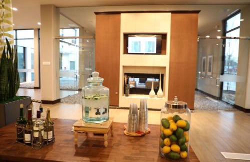 Montopolis Hotel | Discover Hilton Garden Inn Austin Airport: Pet-Friendly Retreat