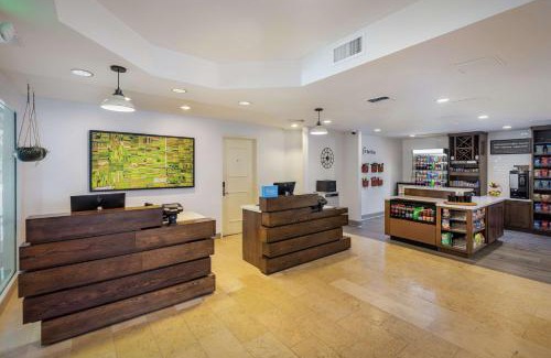 Downtown Hotel | Pet-Friendly Hilton Garden Inn Davis Downtown Awaits You