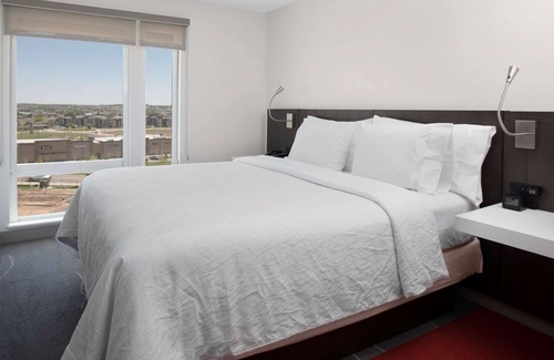 Thornton Hotel | Premier Hilton Garden Inn Denver/Thornton - Pet Friendly Stays