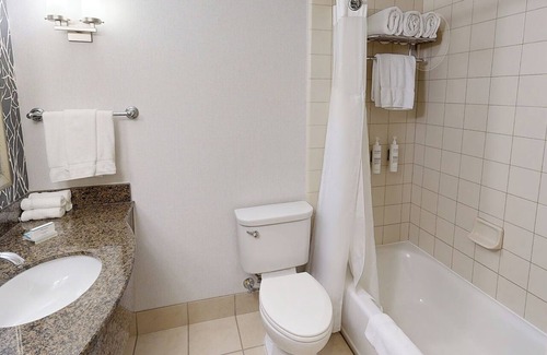 Novi Hotel | Top Rated Hilton Garden Inn Detroit/Novi with Pool & Dining