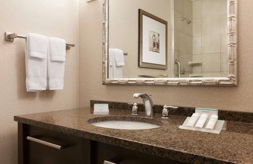 Ashburn Hotel | Comfortable Stay at Hilton Garden Inn Dulles North