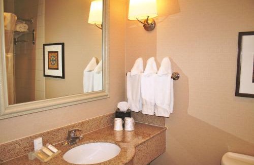 El Paso Hotel | Pet-Friendly Hilton Garden Inn El Paso University with Pool