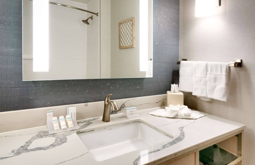 Idaho Falls Hotel | Prime Hilton Garden Inn Idaho Falls with Pool & Spa Access