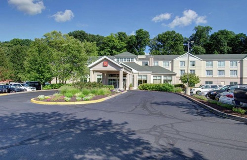 Norwalk Hotel | Pet-Friendly Comfort at Hilton Garden Inn Norwalk