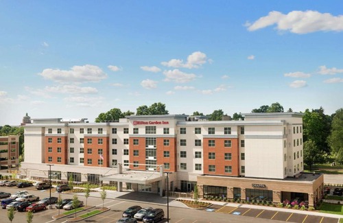 Rochester Hotel | Pet-Friendly Hilton Garden Inn Rochester Near University & Medical Center