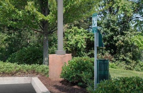 Wilkes-Barre Hotel | Welcoming Hilton Garden Inn Wilkes-Barre: Pet Friendly Stay