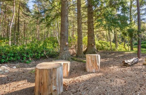 Ballater Resort | Explore Hilton Grand Vacations Club Craigendarroch Suites