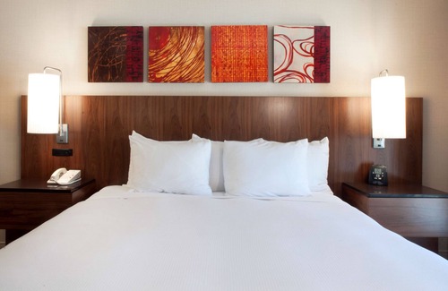 Downtown Palm Springs Resort | Relaxing Hilton Palm Springs Resort with Pool and Spa