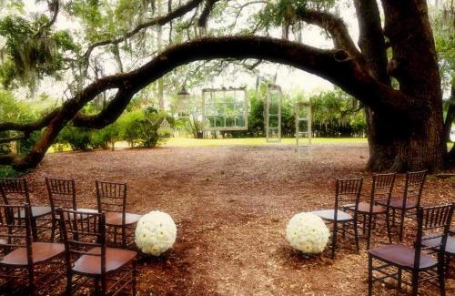 Gainesville Hotel | Pet-Friendly Hilton University of Florida Conference Center