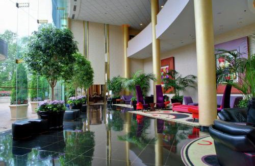 Herndon Hotel | Pet-Friendly Hilton Washington Dulles Airport with Pool