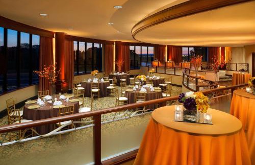 Herndon Hotel | Pet-Friendly Hilton Washington Dulles Airport with Pool