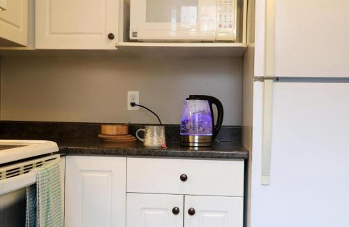 Downtown Apartment | Pet-Friendly Hiltz House Cellar Suite near Halifax Ferry