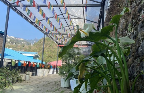 Mussoorie House | Himalayan Barn: Your Tranquil Escape Awaits
