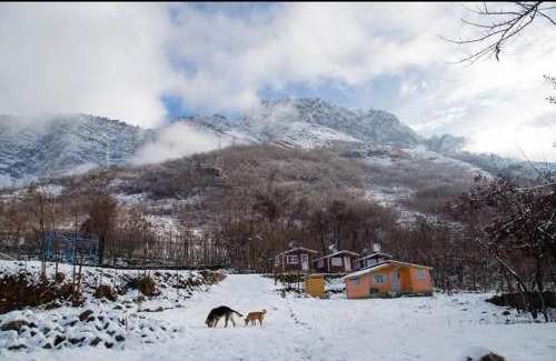 Brein House | Himalayan Huts