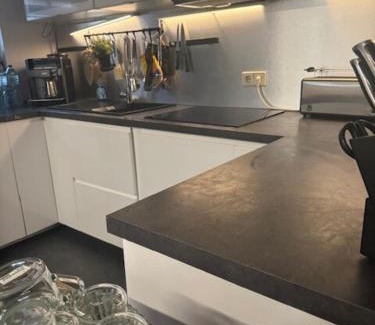 Niederpoyritz Apartment | Hinterhaus im Elbhang in Dresden zw Loschwitz und Pillnitz zur Sächsische Schweiz