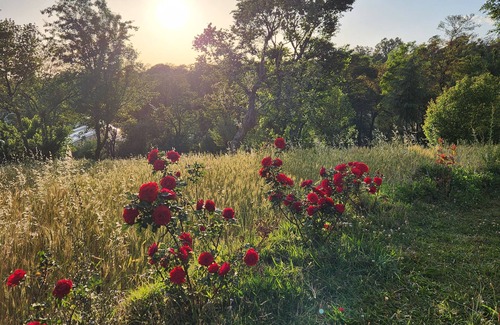 Gunehr RV Rental | Discover Hipostel Bir - A Cozy Stay with Café Delights