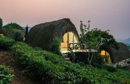 Moc Chau Resort | Family-Friendly Hippie Home with High Guest Satisfaction