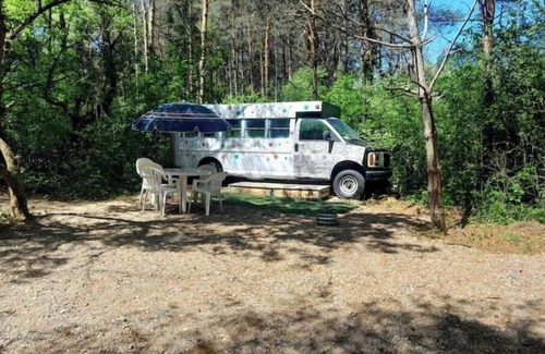 Cass City RV Rental | hippy buss getaway