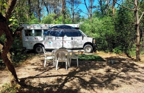 Cass City RV Rental | hippy buss getaway