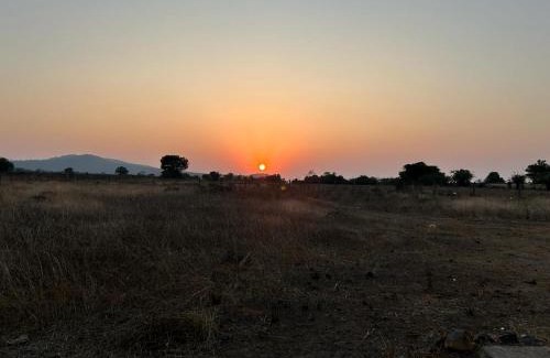 Sawantwadi Hotel | Cozy Hiranya Farm Stay: Pet-Friendly Retreat with Breakfast