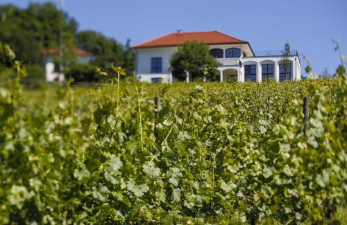 Seggauberg Apartment | Discover Hirschmugl Domaene Seggau: 4-Star Pet-Friendly Stay