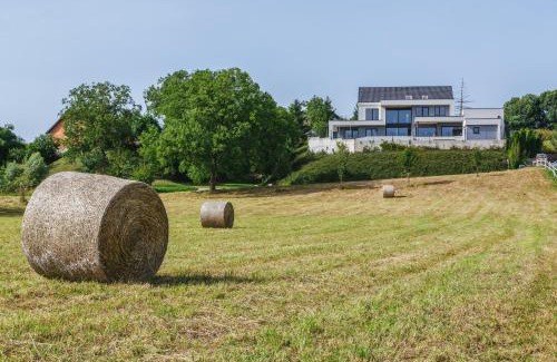 Brezice Villa | Relax at HIRUNDO: Villa with Saunas & Hot Tub, Rated 9.8