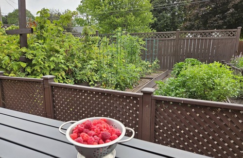 De Pere House | Historic Bungalow in Downtown De Pere with Kitchen Access