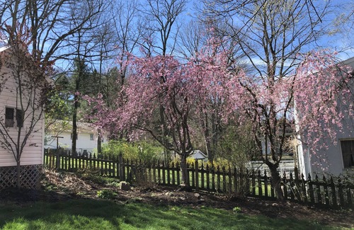 Lewisburg House | Explore Historic Center with Spa and Pet-Friendly Options